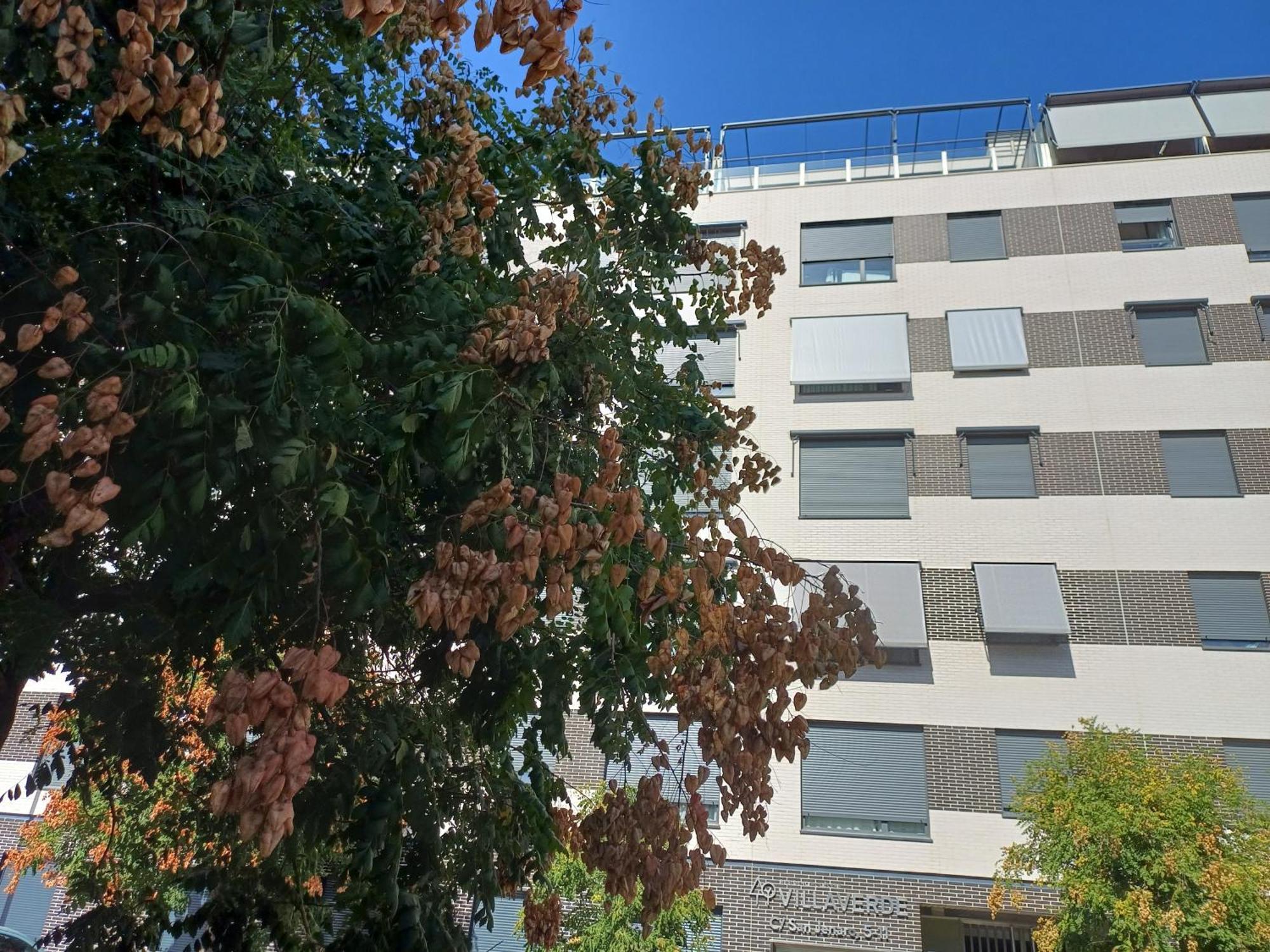 Estudios Nuevos Madrid Centro Bagian luar foto